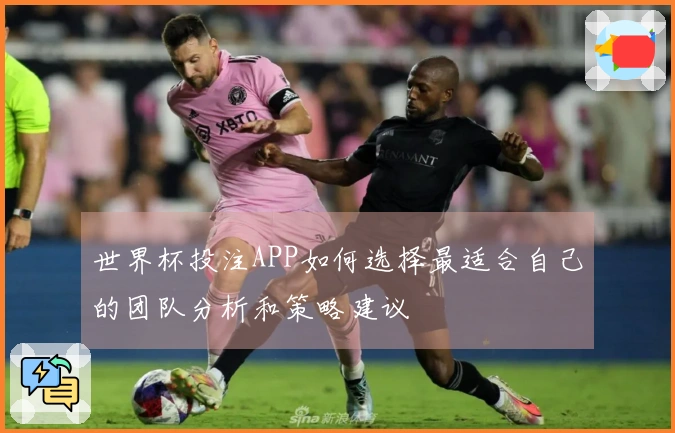 世界杯投注APP如何选择最适合自己的团队分析和策略建议