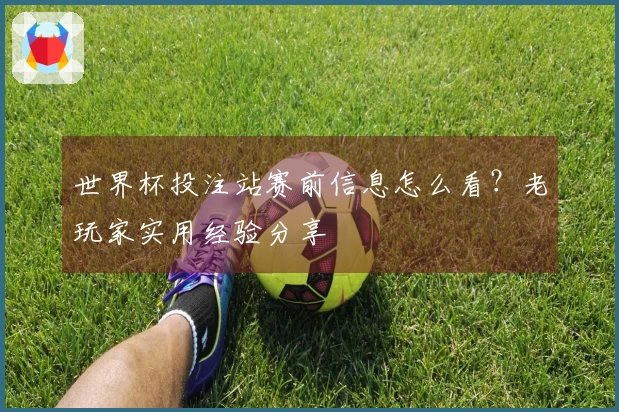 世界杯投注站赛前信息怎么看？老玩家实用经验分享