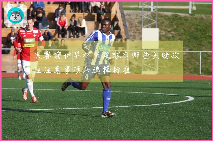 决赛前世界杯买足球有哪些关键投注注意事项和选择标准
