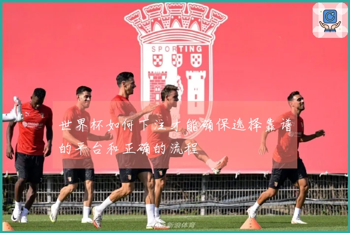 世界杯如何下注才能确保选择靠谱的平台和正确的流程