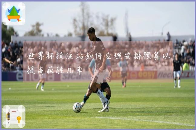 世界杯投注站如何合理安排预算以提高获胜几率