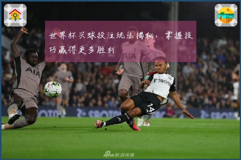 世界杯买球投注玩法揭秘，掌握技巧赢得更多胜利
