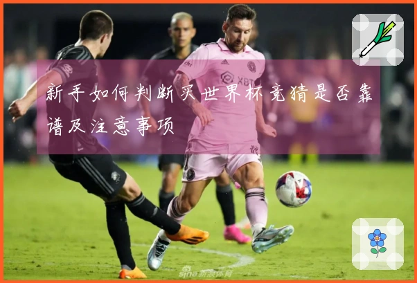 新手如何判断买世界杯竞猜是否靠谱及注意事项