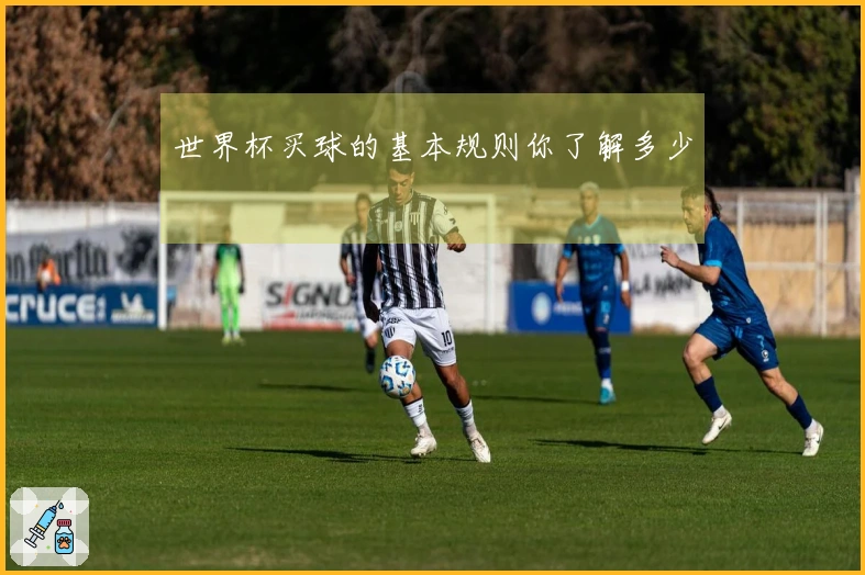世界杯买球的基本规则你了解多少