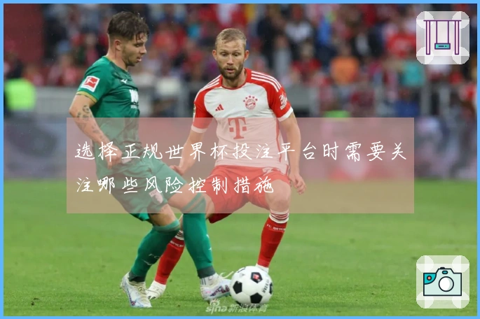 选择正规世界杯投注平台时需要关注哪些风险控制措施