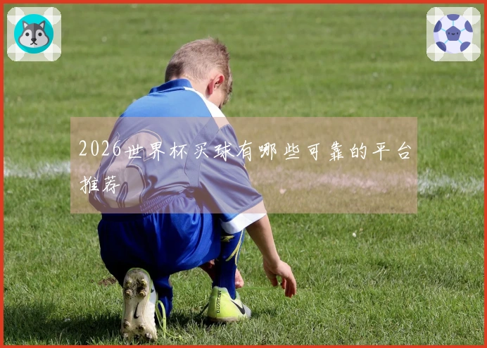 2026世界杯买球有哪些可靠的平台推荐