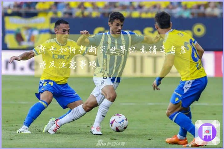 新手如何判断买世界杯竞猜是否靠谱及注意事项