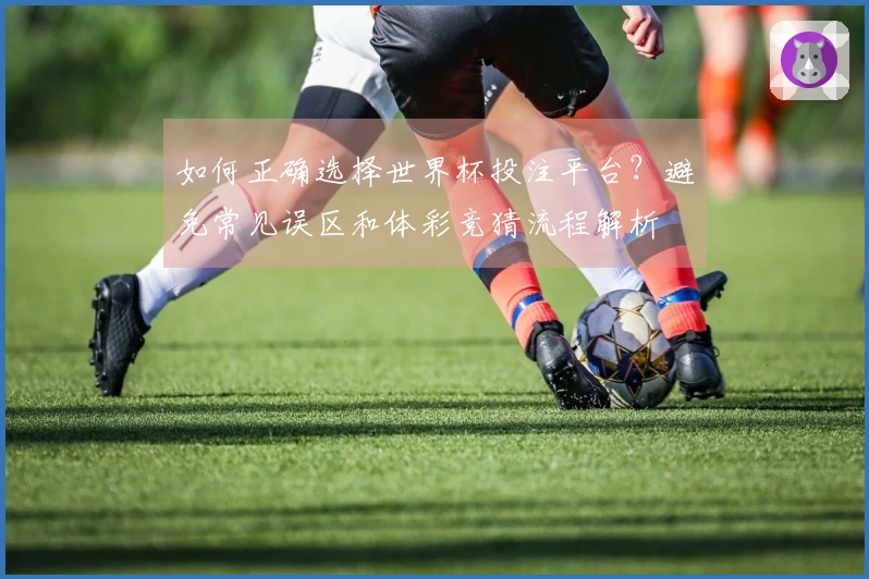 如何正确选择世界杯投注平台？避免常见误区和体彩竞猜流程解析