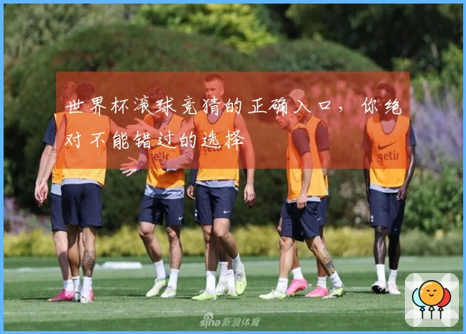 世界杯滚球竞猜的正确入口，你绝对不能错过的选择