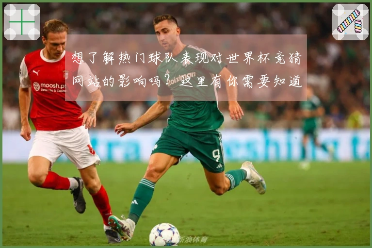 想了解热门球队表现对世界杯竞猜网站的影响吗？这里有你需要知道的常见误区
