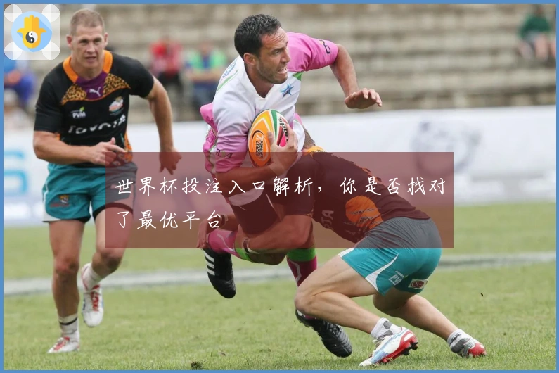 世界杯投注入口解析，你是否找对了最优平台