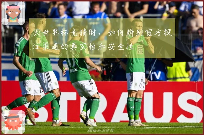 买世界杯竞猜时，如何辨别官方投注渠道的真实性和安全性