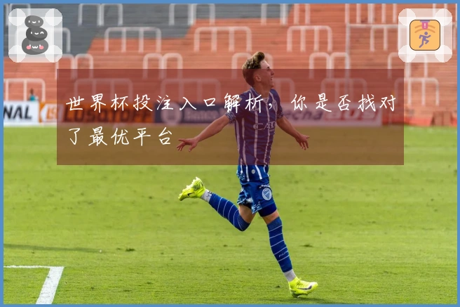 世界杯投注入口解析，你是否找对了最优平台