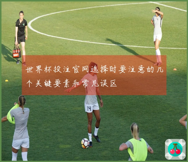 世界杯投注官网选择时要注意的几个关键要素和常见误区