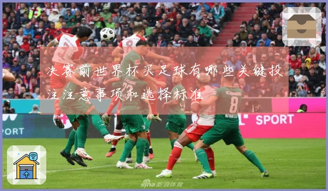 决赛前世界杯买足球有哪些关键投注注意事项和选择标准