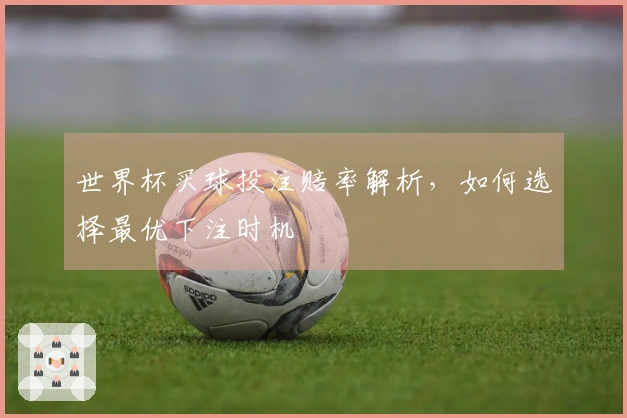 世界杯买球投注赔率解析，如何选择最优下注时机
