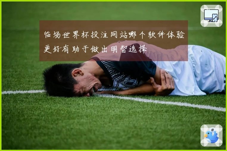 临场世界杯投注网站哪个软件体验更好有助于做出明智选择