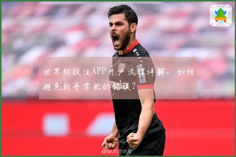 世界杯投注APP开户流程详解，如何避免新手常犯的错误？