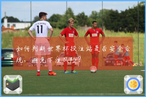 如何判断世界杯投注站是否安全合规，避免下注风险？