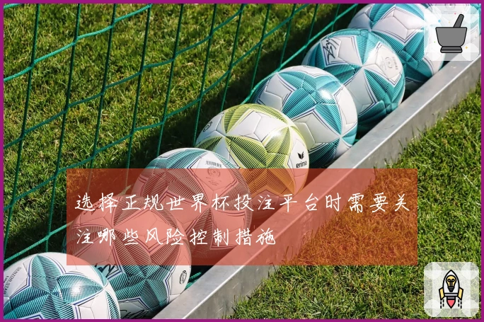 选择正规世界杯投注平台时需要关注哪些风险控制措施