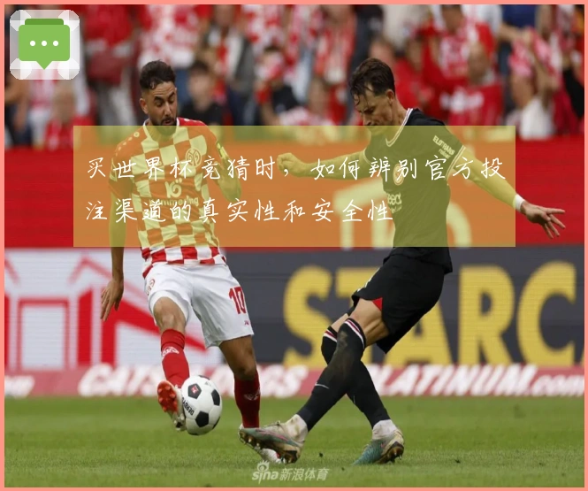买世界杯竞猜时，如何辨别官方投注渠道的真实性和安全性
