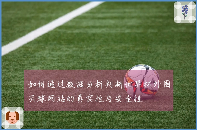 如何通过数据分析判断世界杯外围买球网站的真实性与安全性
