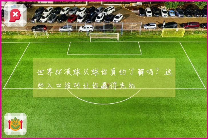 世界杯滚球买球你真的了解吗？这些入口技巧让你赢得先机