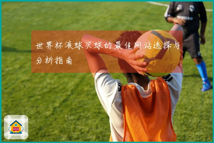世界杯滚球买球的最佳网站选择与分析指南