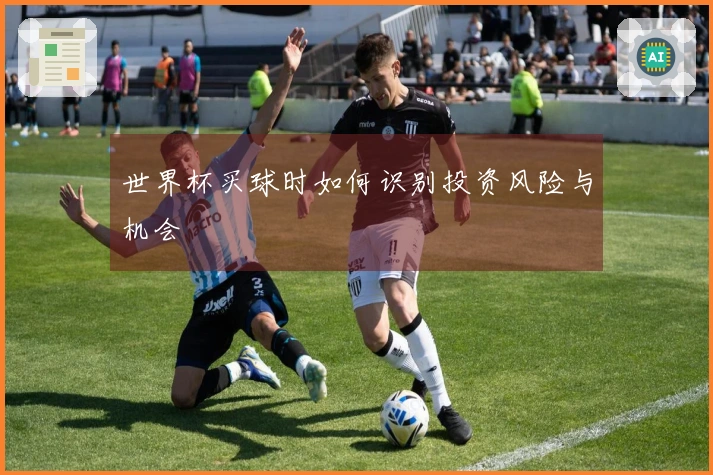 世界杯买球时如何识别投资风险与机会