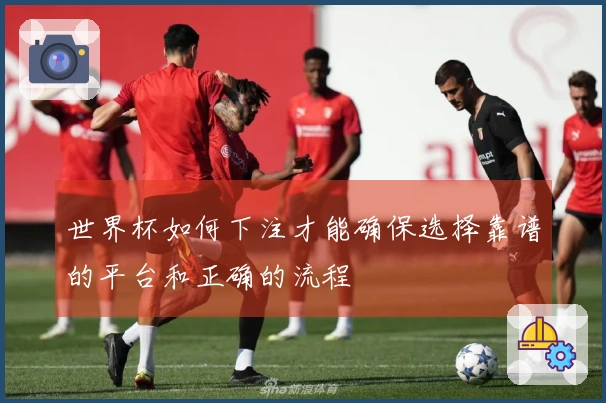 世界杯如何下注才能确保选择靠谱的平台和正确的流程
