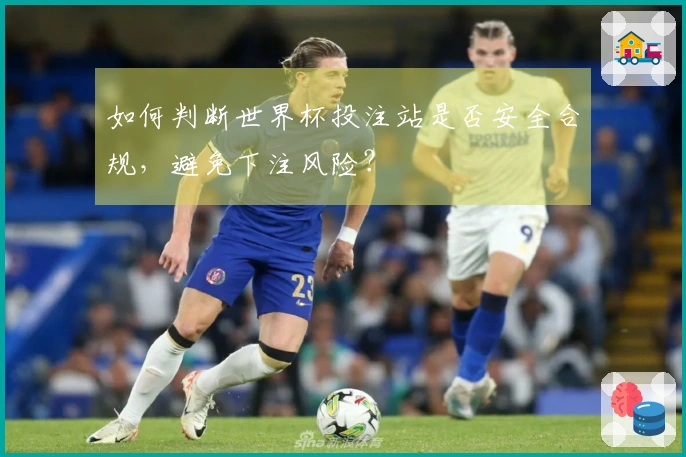 如何判断世界杯投注站是否安全合规，避免下注风险？