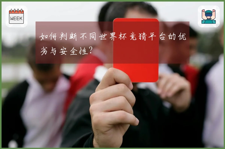 如何判断不同世界杯竞猜平台的优劣与安全性？