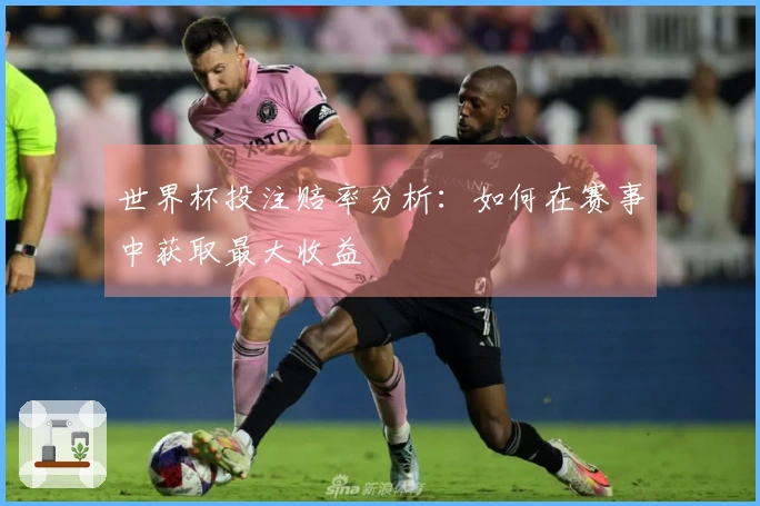 世界杯投注赔率分析：如何在赛事中获取最大收益