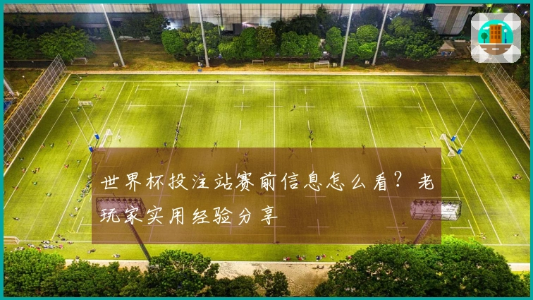 世界杯投注站赛前信息怎么看？老玩家实用经验分享