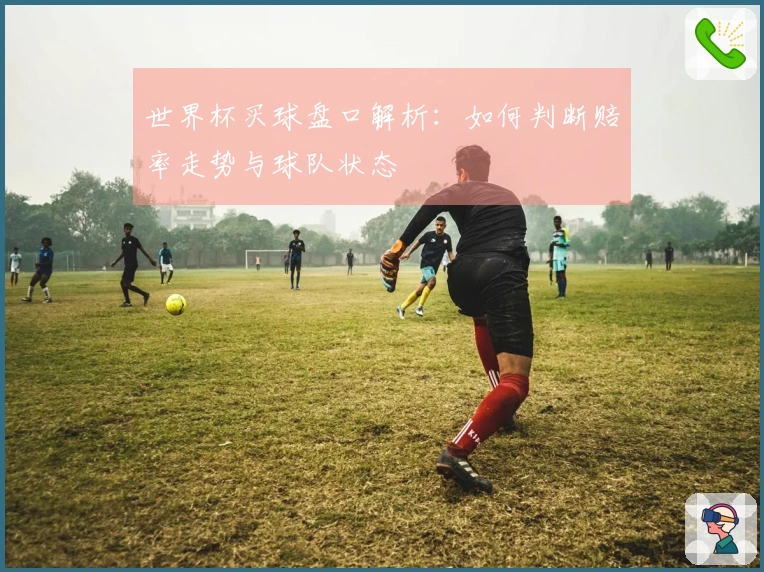 世界杯买球盘口解析：如何判断赔率走势与球队状态