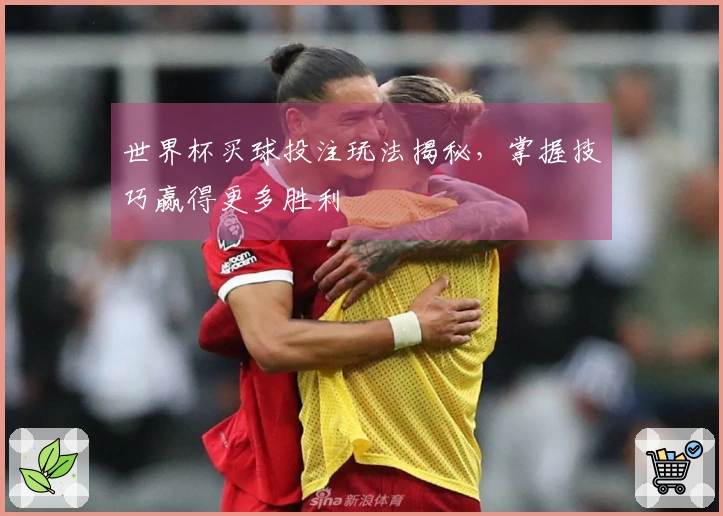世界杯买球投注玩法揭秘，掌握技巧赢得更多胜利