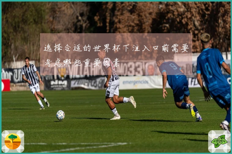 选择合适的世界杯下注入口前需要考虑哪些重要因素