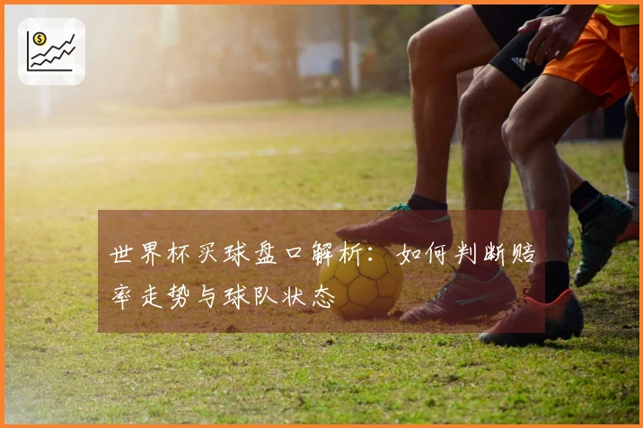世界杯买球盘口解析：如何判断赔率走势与球队状态
