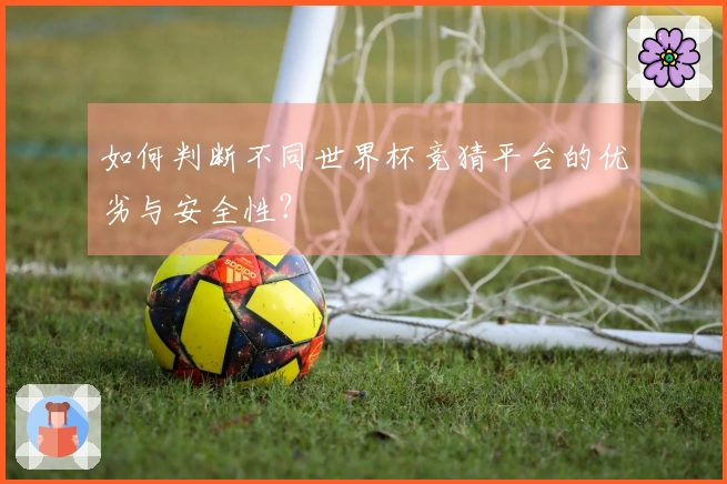 如何判断不同世界杯竞猜平台的优劣与安全性？