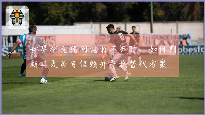 世界杯竞猜网站打不开时，如何判断其是否可信赖并寻找替代方案