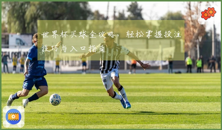 世界杯买球全攻略，轻松掌握投注技巧与入口指南
