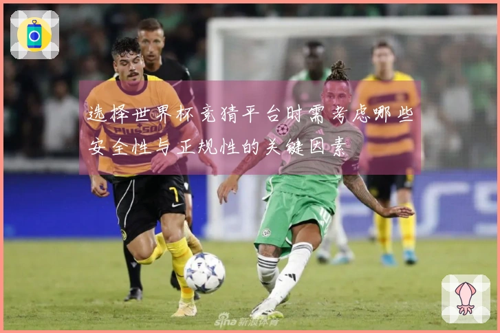 选择世界杯竞猜平台时需考虑哪些安全性与正规性的关键因素